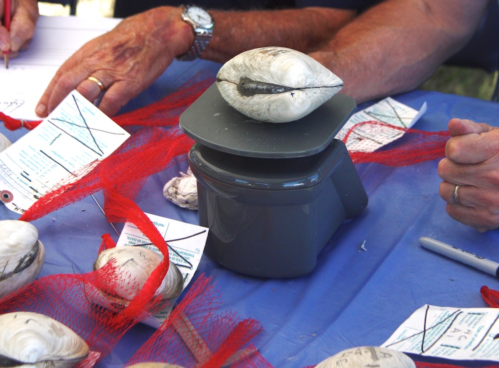 Clam Contest Date Is Set for 2022 The East Hampton Star